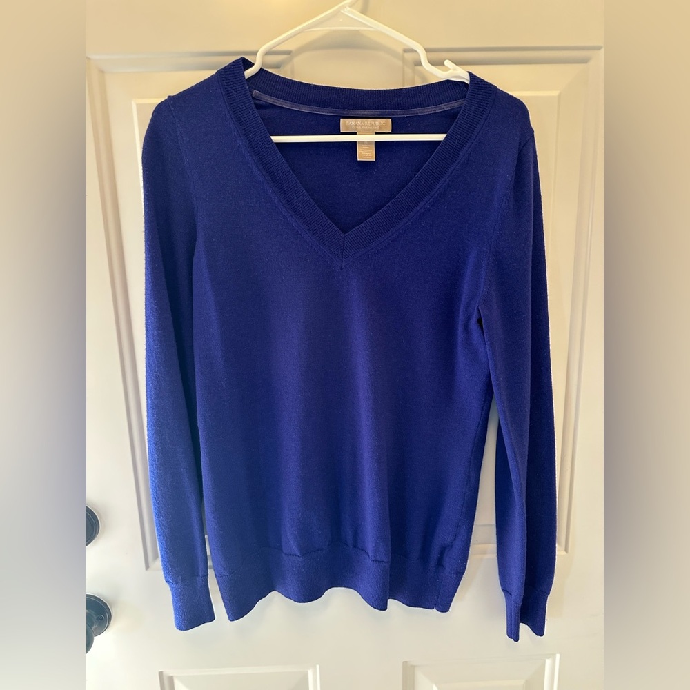 Banana Republic Blue Extra Fine Merino Sweater